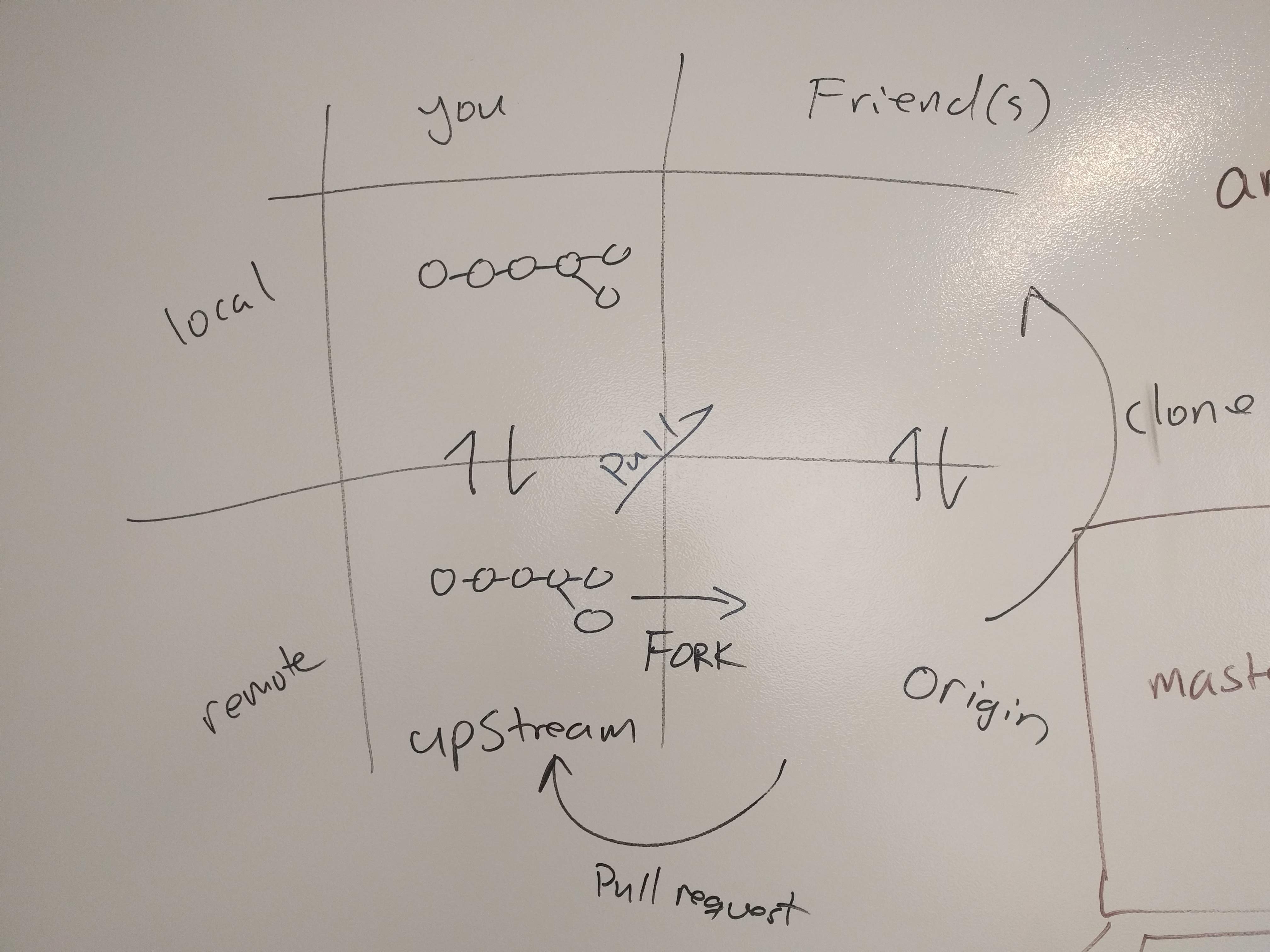 The 'forking' model of Git workflows